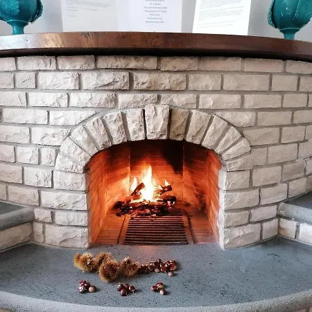 特雷莎别墅住宿加早餐旅馆 住宿加早餐酒店 3*