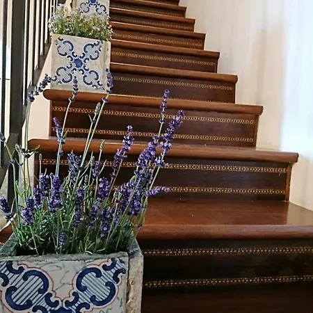 特雷莎别墅住宿加早餐旅馆 索伦托