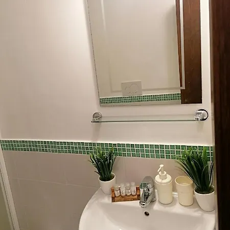 B&B 테레사