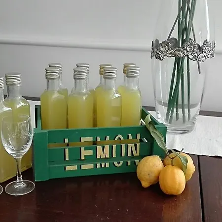 特雷莎别墅住宿加早餐旅馆 住宿加早餐酒店 索伦托